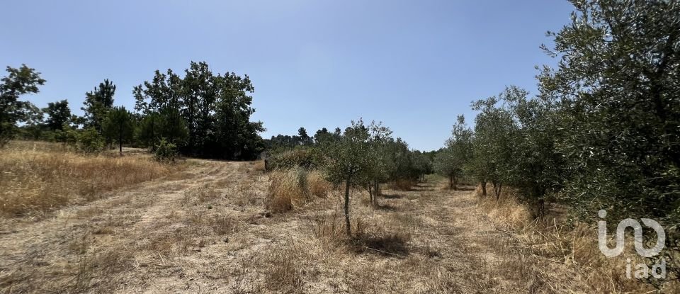 Terrain à Sernancelhe e Sarzeda de 44 527 m²