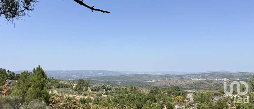 Terrain à Sernancelhe e Sarzeda de 44 527 m²