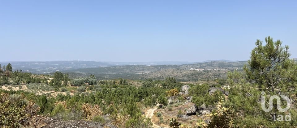 Terrain à Sernancelhe e Sarzeda de 44 527 m²