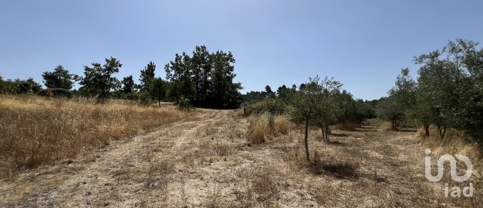 Terrain à Sernancelhe e Sarzeda de 44 527 m²