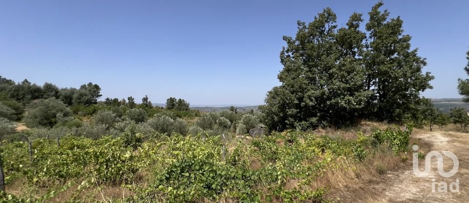 Terrain à Sernancelhe e Sarzeda de 44 527 m²