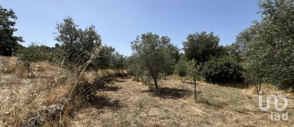 Terrain à Sernancelhe e Sarzeda de 44 527 m²