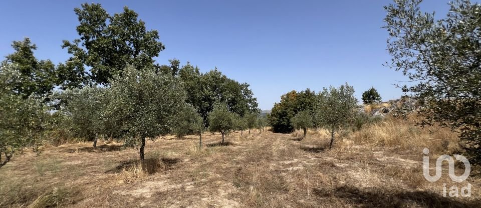 Terrain à Sernancelhe e Sarzeda de 44 527 m²