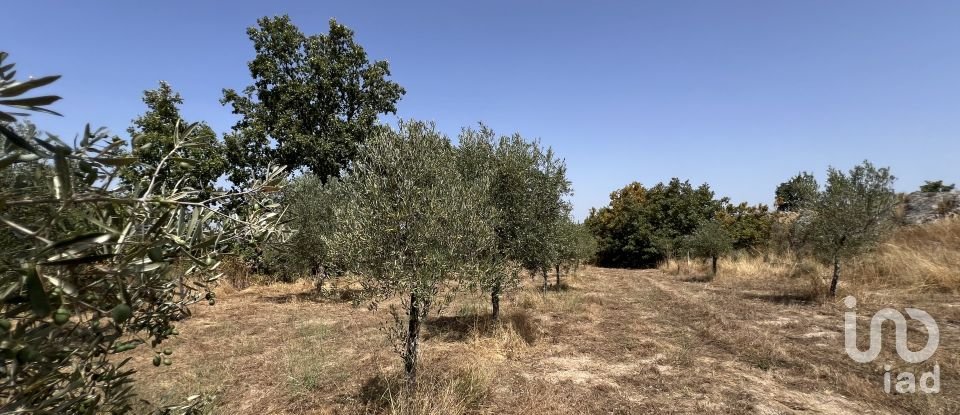 Terrain à Sernancelhe e Sarzeda de 44 527 m²