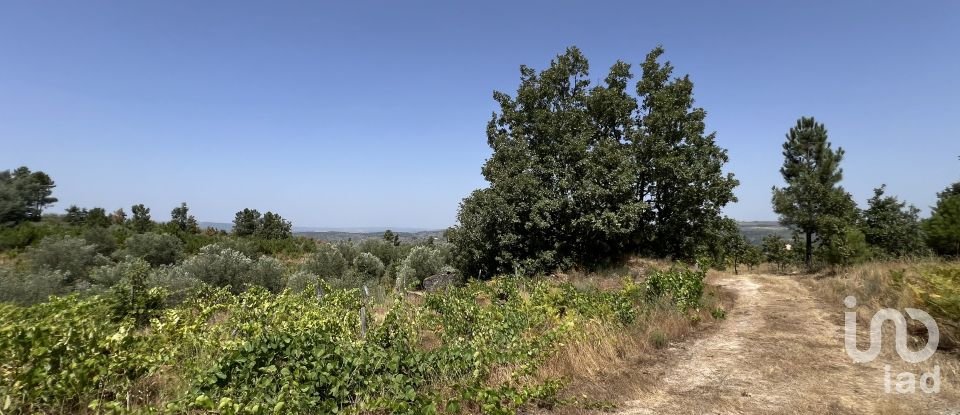 Terrain à Sernancelhe e Sarzeda de 44 527 m²