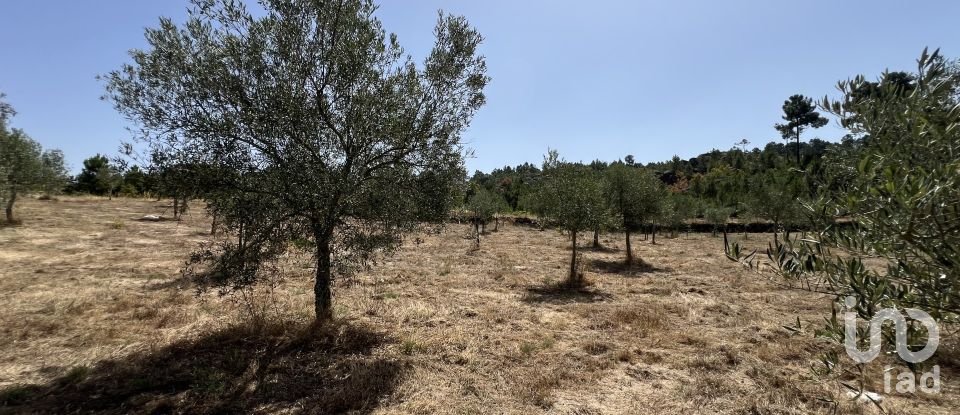 Terrain à Sernancelhe e Sarzeda de 44 527 m²