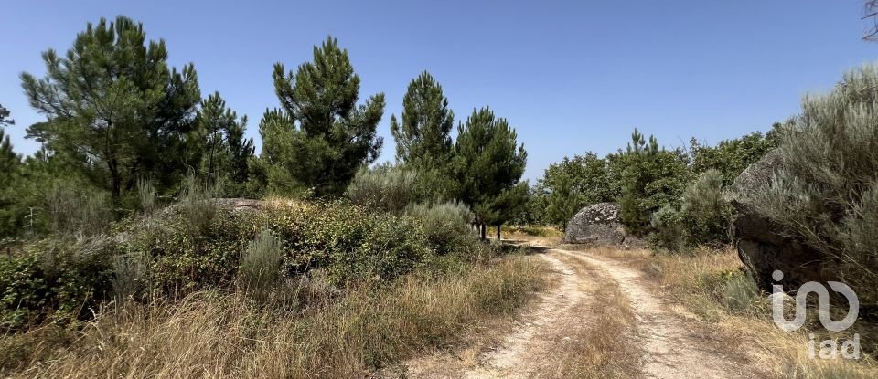 Terrain à Sernancelhe e Sarzeda de 44 527 m²