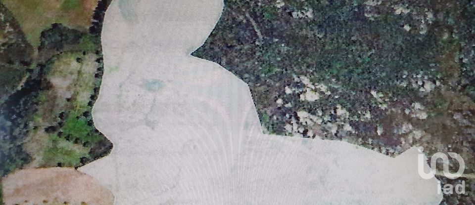 Terrain à Sernancelhe e Sarzeda de 44 527 m²