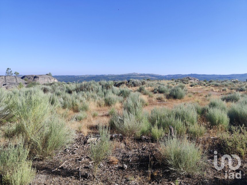 Terrain à Sernancelhe e Sarzeda de 51 606 m²