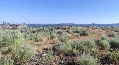 Terrain à Sernancelhe e Sarzeda de 51 606 m²