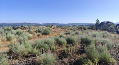 Terrain à Sernancelhe e Sarzeda de 51 606 m²