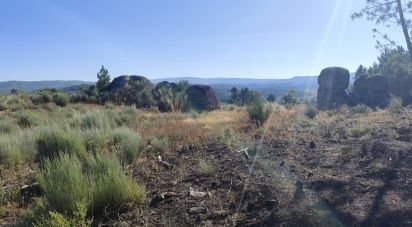 Terrain à Sernancelhe e Sarzeda de 51 606 m²