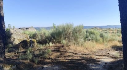 Terrain à Sernancelhe e Sarzeda de 51 606 m²