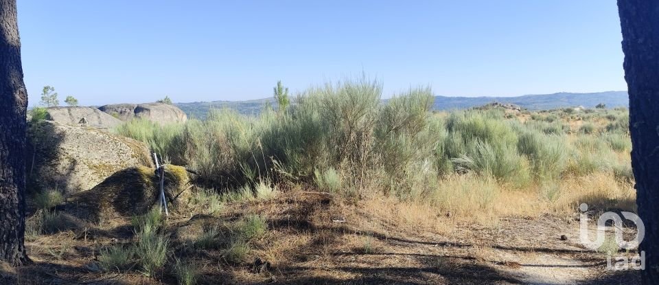 Terrain à Sernancelhe e Sarzeda de 51 606 m²