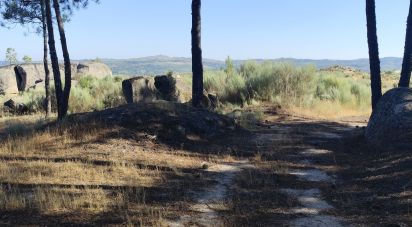 Terrain à Sernancelhe e Sarzeda de 51 606 m²