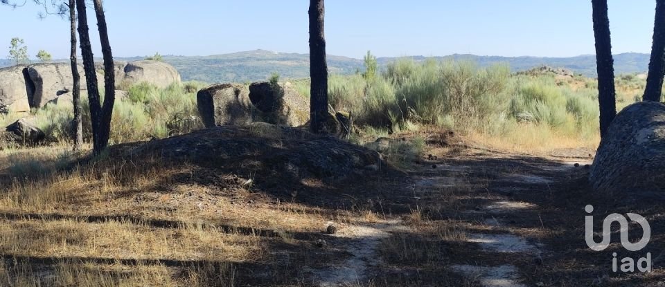 Terrain à Sernancelhe e Sarzeda de 51 606 m²