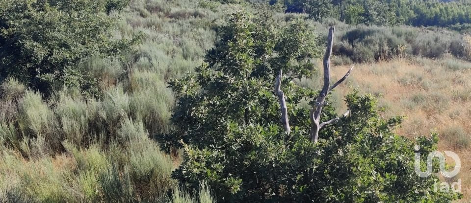 Terrain à Sernancelhe e Sarzeda de 51 606 m²