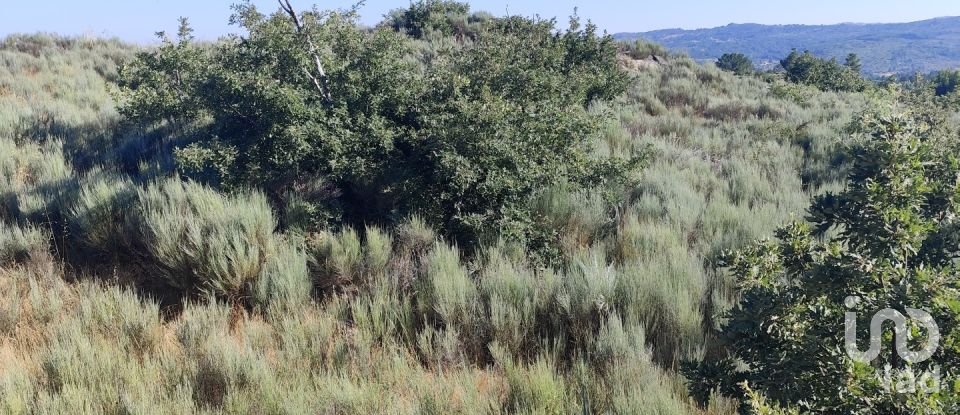 Terrain à Sernancelhe e Sarzeda de 51 606 m²