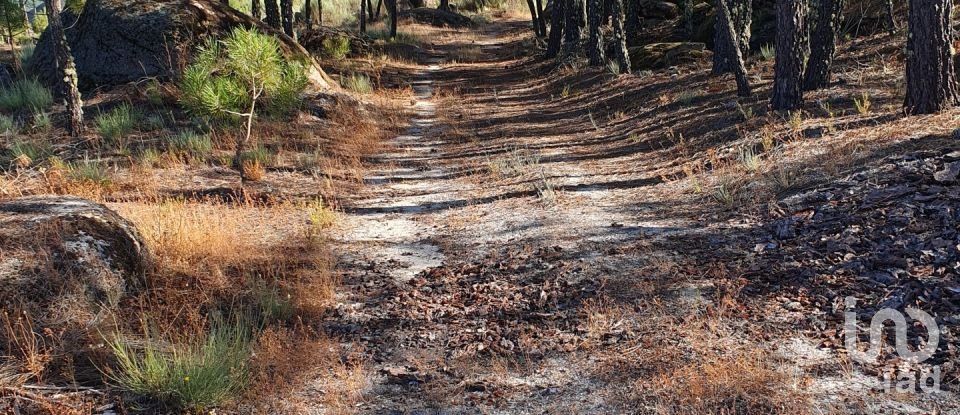 Terrain à Sernancelhe e Sarzeda de 51 606 m²