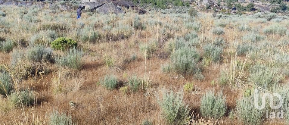 Terrain à Sernancelhe e Sarzeda de 51 606 m²