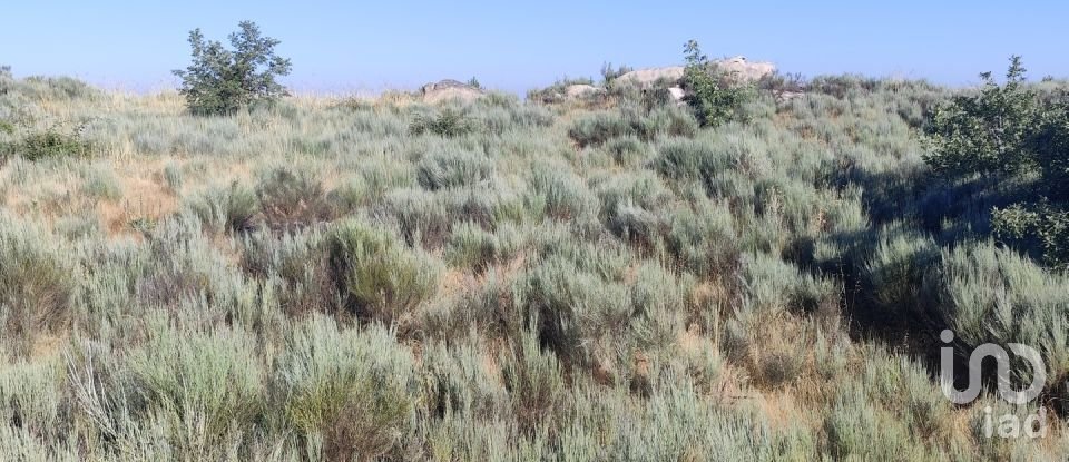 Terrain à Sernancelhe e Sarzeda de 51 606 m²