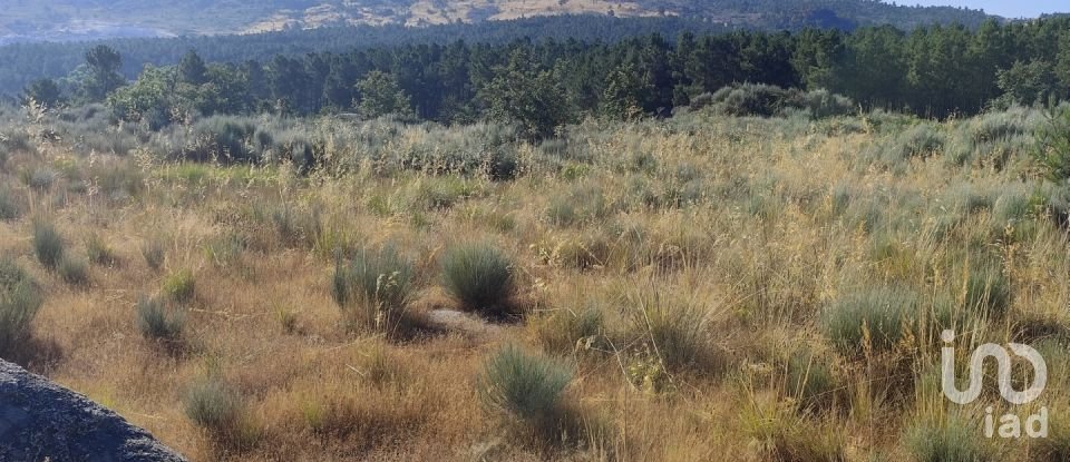 Terrain à Sernancelhe e Sarzeda de 51 606 m²