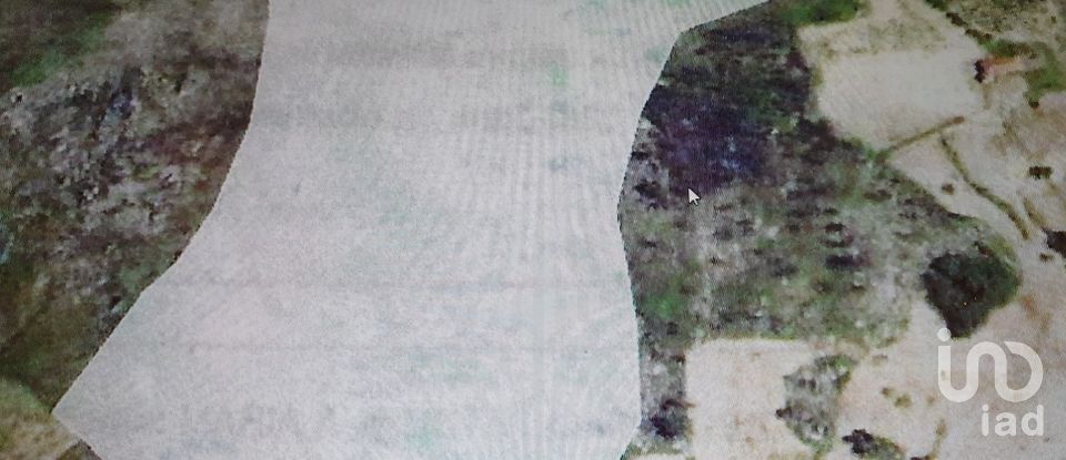 Terrain à Sernancelhe e Sarzeda de 51 606 m²