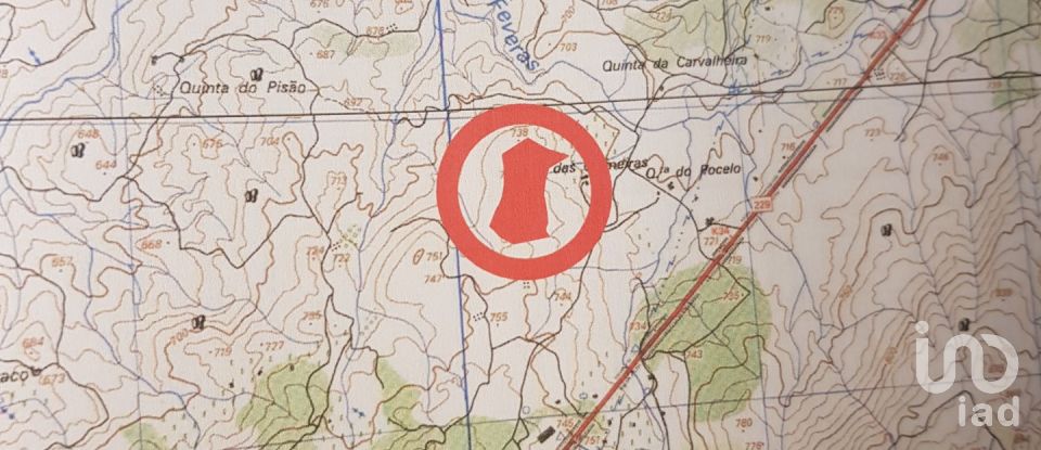 Terrain à Sernancelhe e Sarzeda de 51 606 m²