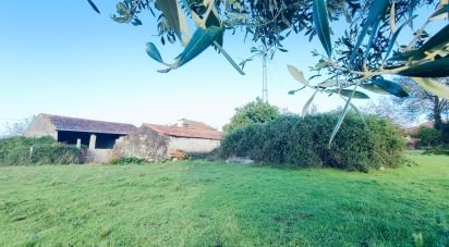 Ferme T2 à Valença, Cristelo Covo e Arão de 182 m²