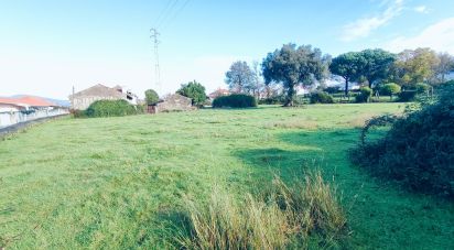 Ferme T2 à Valença, Cristelo Covo e Arão de 182 m²