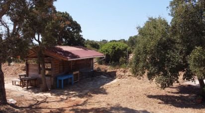 Terrain à Bensafrim e Barão de São João de 4 320 m²