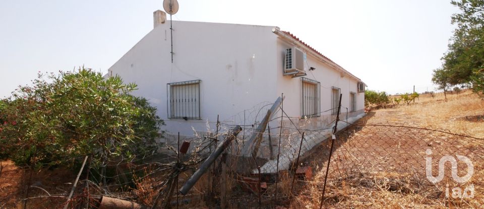 Moradia T3 em Corte do Pinto de 151 m²