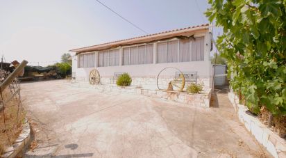 Maison T3 à Corte do Pinto de 151 m²