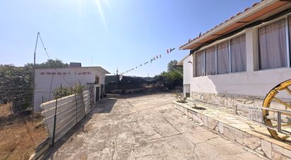 Maison T3 à Corte do Pinto de 151 m²