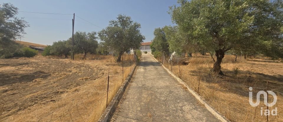 Moradia T3 em Corte do Pinto de 151 m²