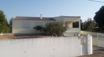 House T3 in Aldeia do Mato e Souto of 330 m²