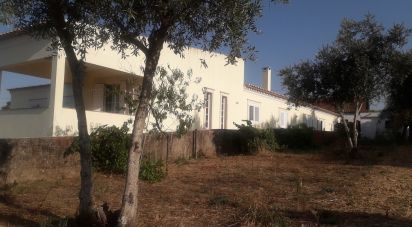 House T3 in Aldeia do Mato e Souto of 330 m²