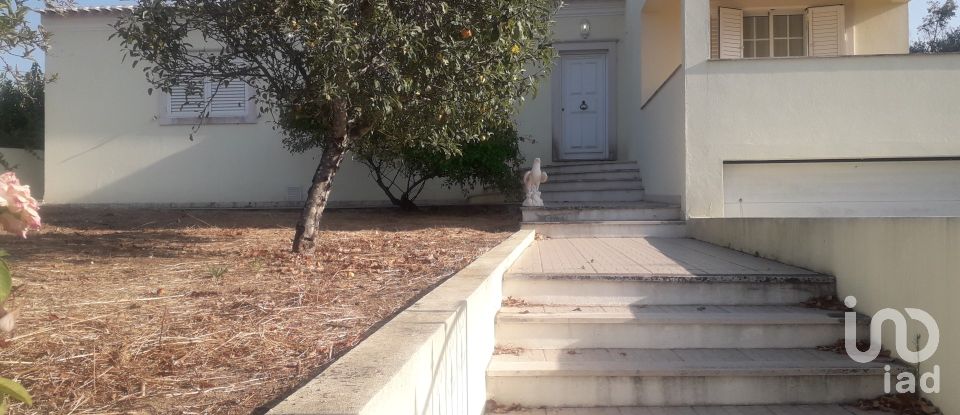 Moradia T3 em Aldeia do Mato e Souto de 330 m²