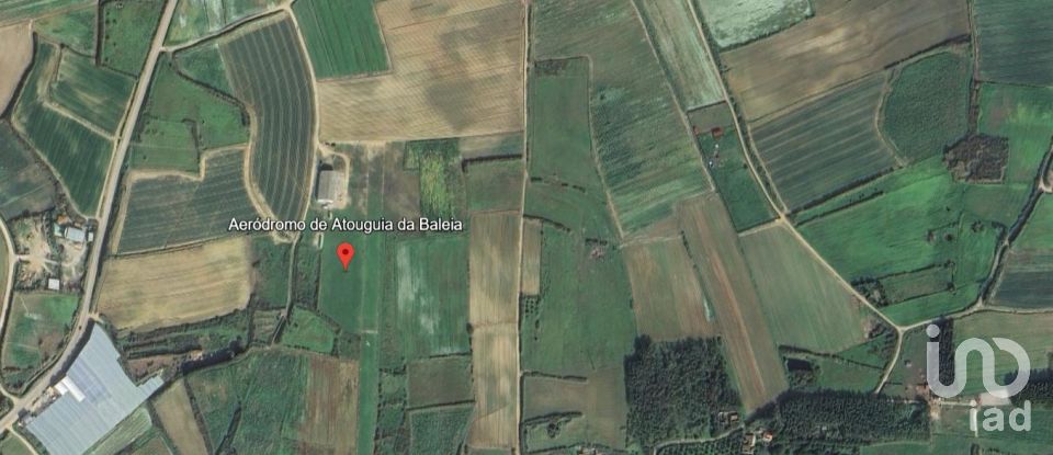 Terreno em Atouguia da Baleia de 4 400 m²