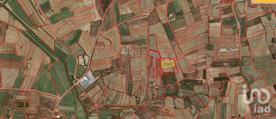 Terreno em Atouguia da Baleia de 4 400 m²