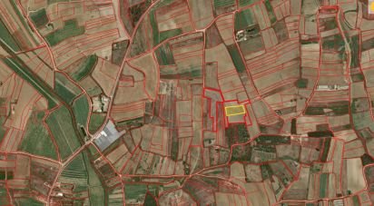 Terrain à Atouguia da Baleia de 4 400 m²