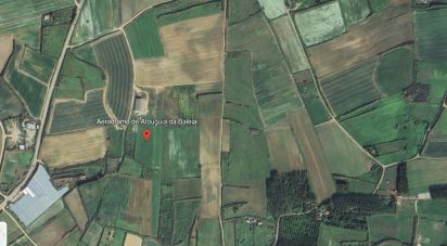 Terrain à Atouguia da Baleia de 4 400 m²