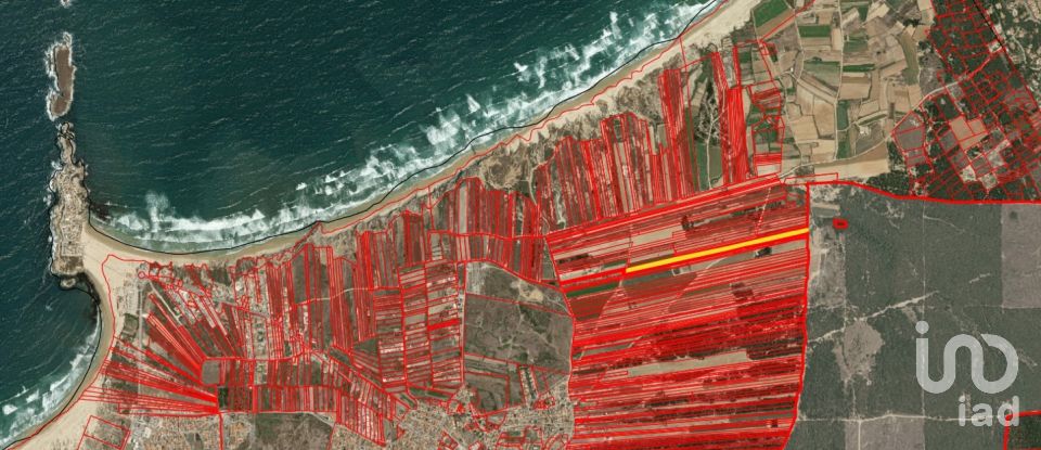 Terreno em Ferrel de 7 800 m²