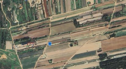 Terrain à Ferrel de 7 800 m²