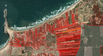 Terrain à Ferrel de 7 800 m²