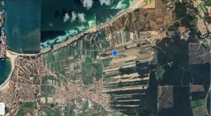 Terrain à Ferrel de 7 800 m²