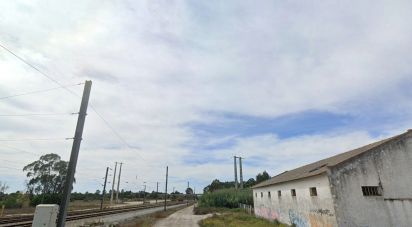 Terrain à Pegões de 108 508 m²