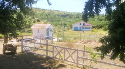 Terrain à Oliveira do Hospital e São Paio de Gramaços de 2 800 m²