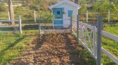 Terrain à Oliveira do Hospital e São Paio de Gramaços de 2 800 m²