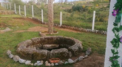Terrain à Oliveira do Hospital e São Paio de Gramaços de 2 800 m²